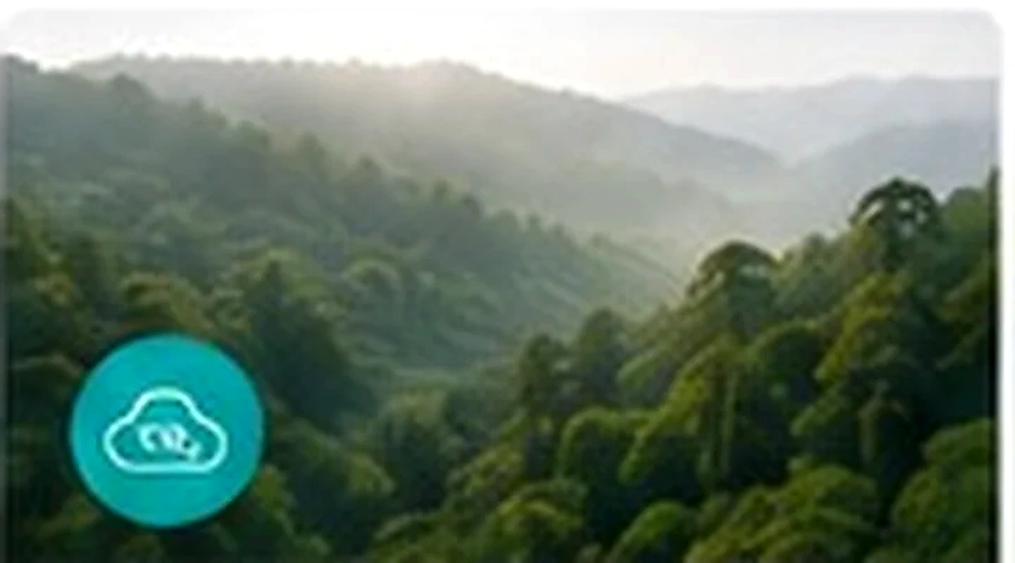 Carbon and climate strategy