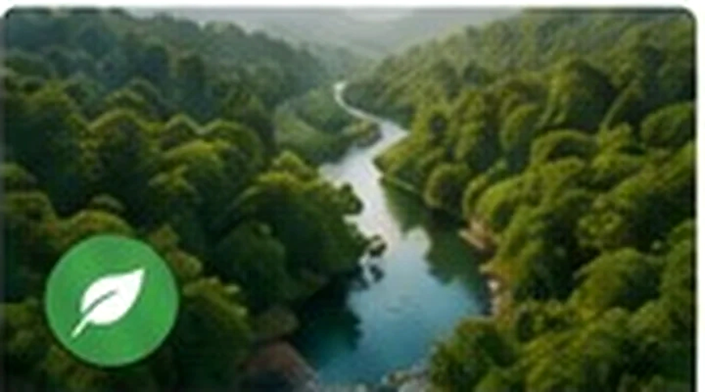 Environment and ESG